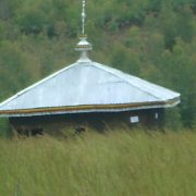 DSC00379