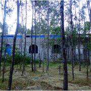 bahirdar02