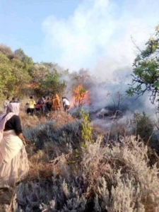 የአሰቦት ቅድስት ሥላሴና የአባ ሳሙኤል ዘደብረ ወገግ ገዳም ደን ተቃጠለ